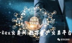深入解析T-Rex交易所：数字